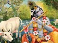 Krishna with cow geese peacock Hindu
